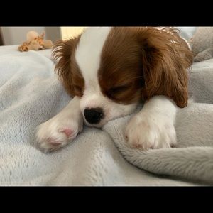 Meet your Posher, Denise